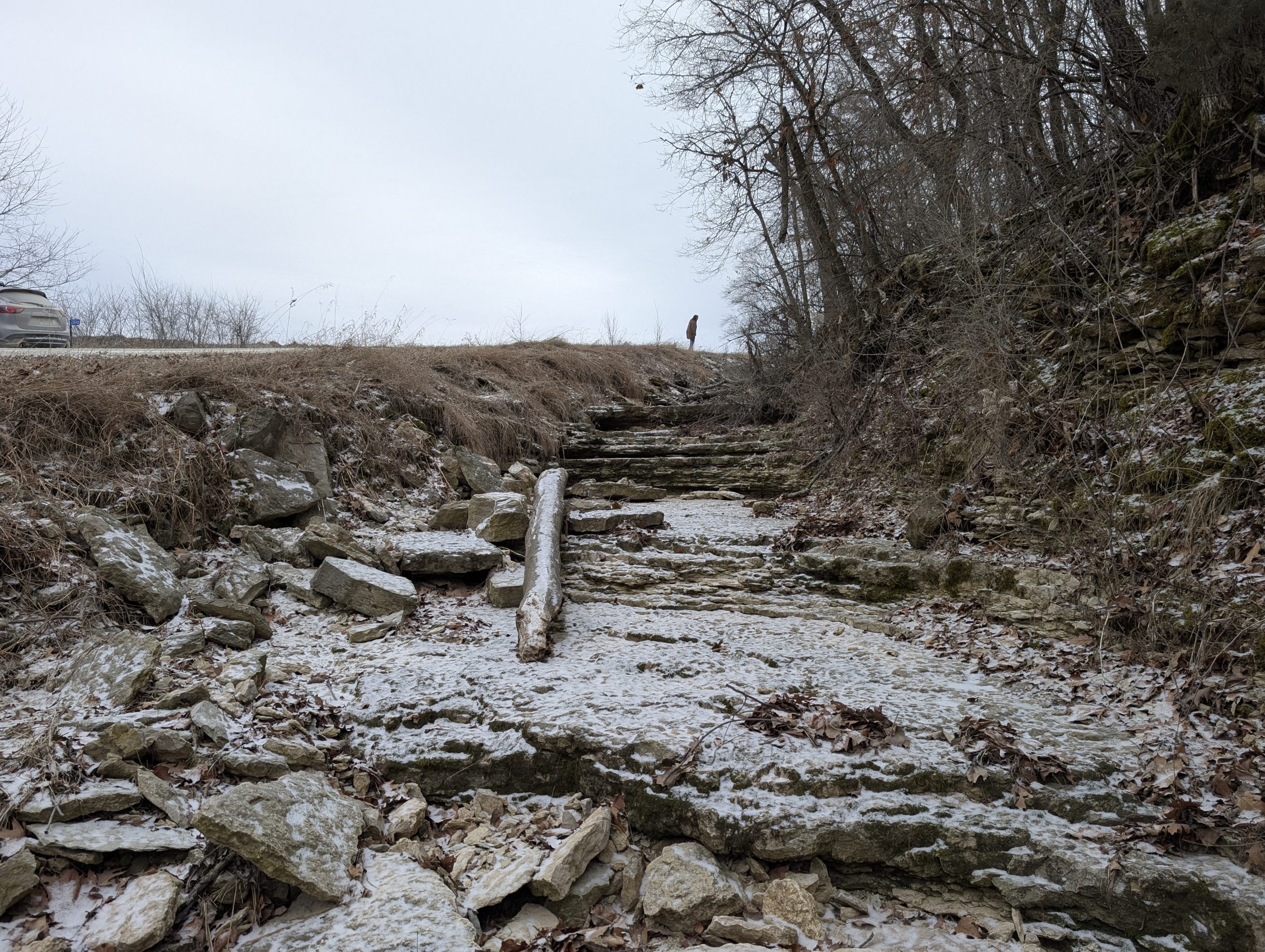 From Fossil Hunting to Megalithic Gardens