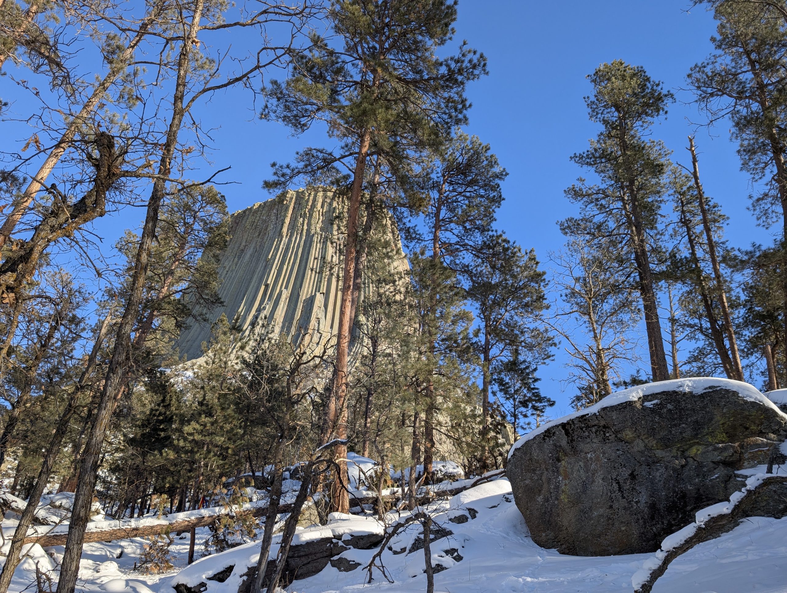 Devils Tower